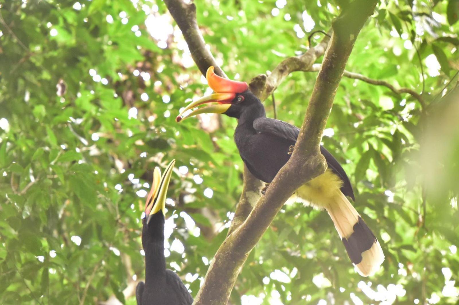 R5 Keramba Inn Bukit Lawang Εξωτερικό φωτογραφία